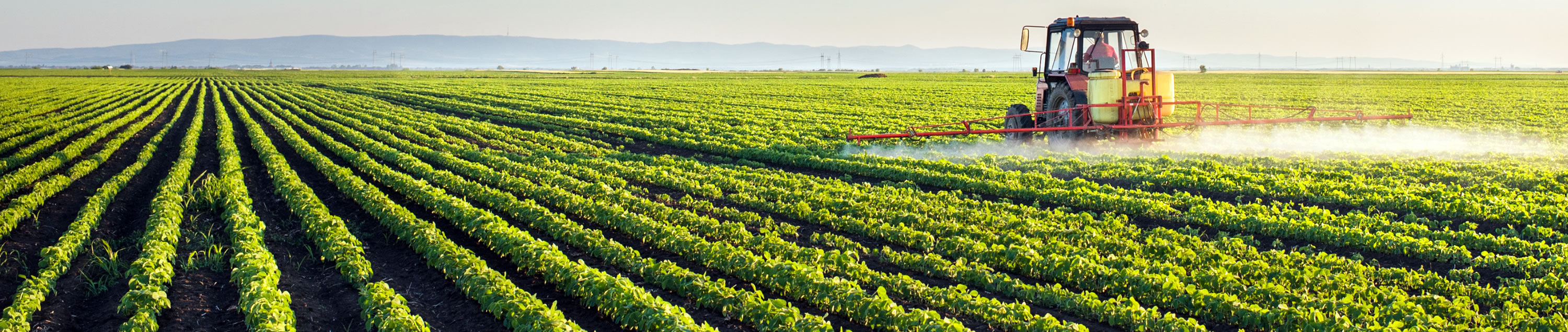 biofertilizantes