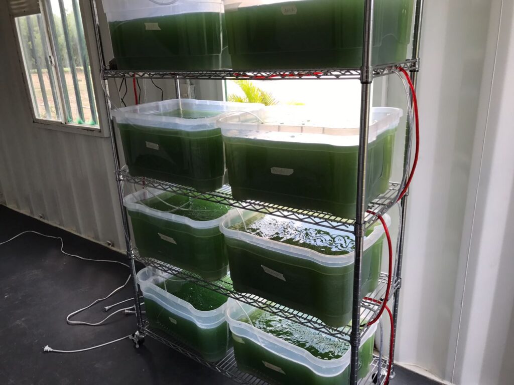 IMG-20170312-WA0008 - copia