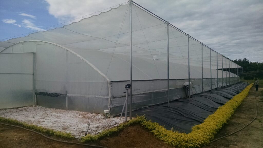 IMG_20160520_083512313