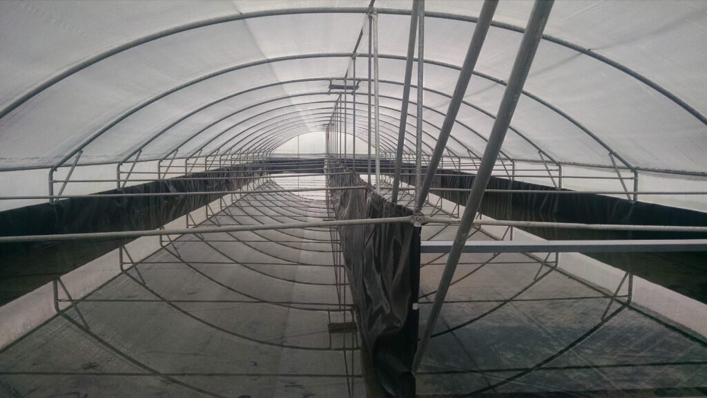 IMG_20161116_104144839