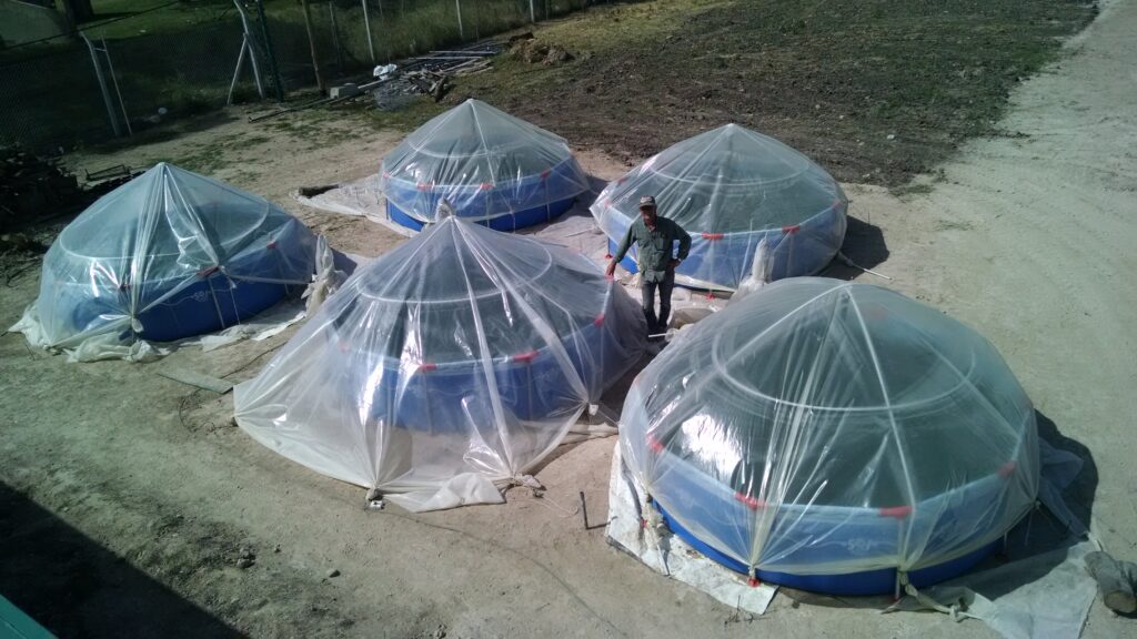 IMG_20161216_155502576