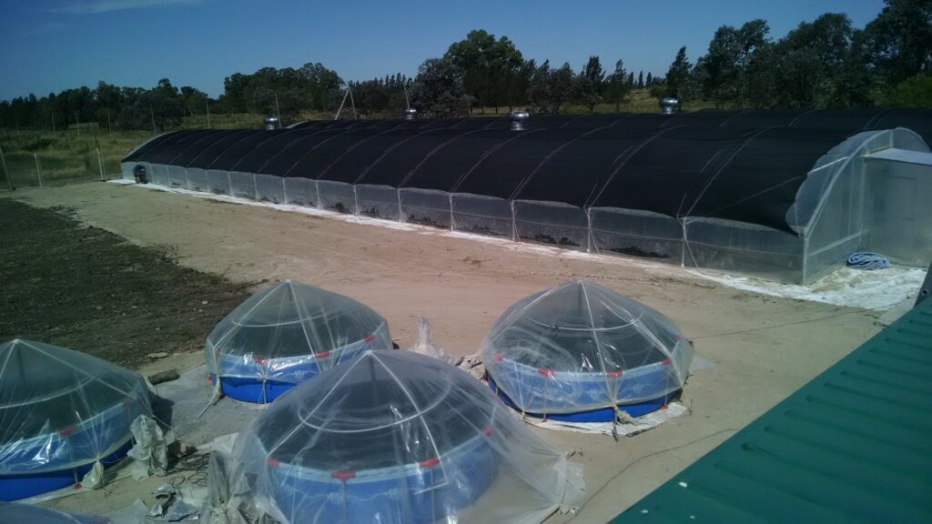 IMG_20161216_155638874