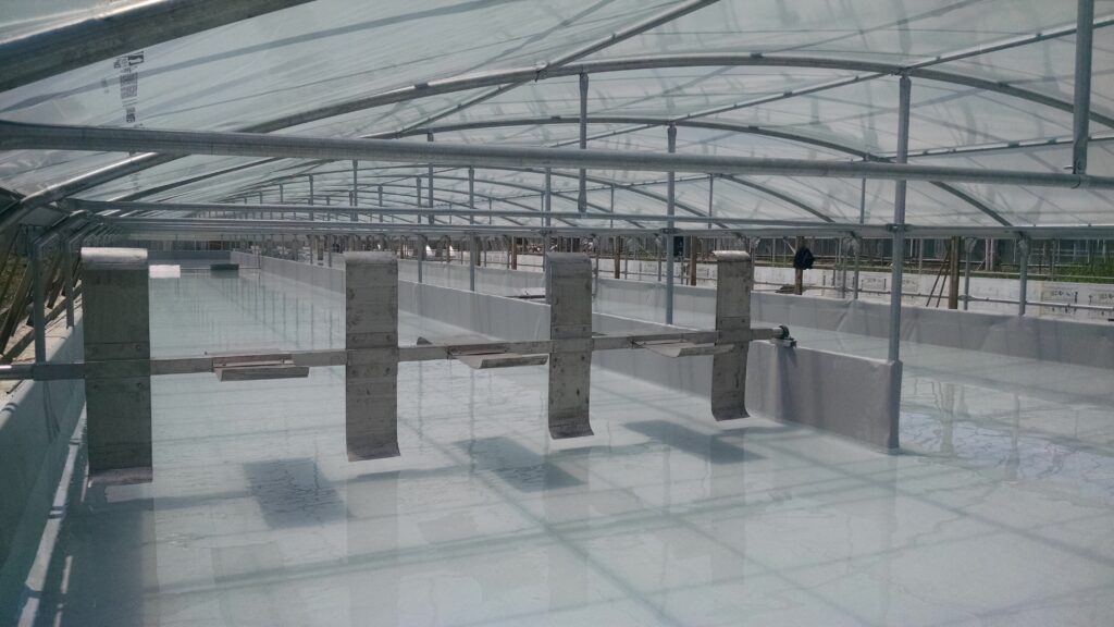 IMG_20170715_125308071 - copia