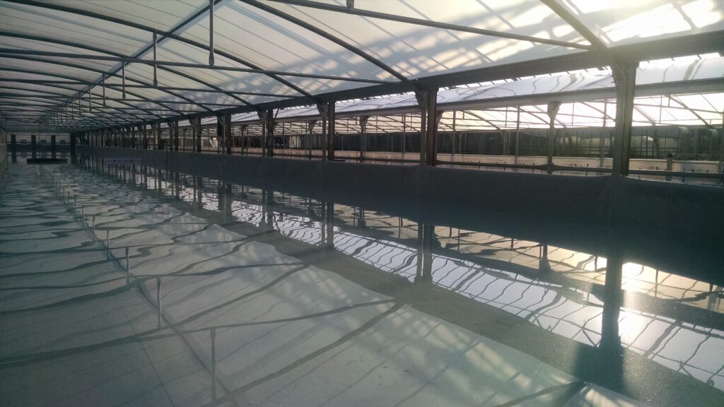 IMG_20170720_184422543 - copia