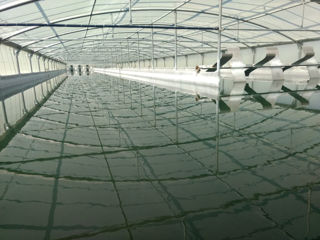 IMG_20180728_104419953