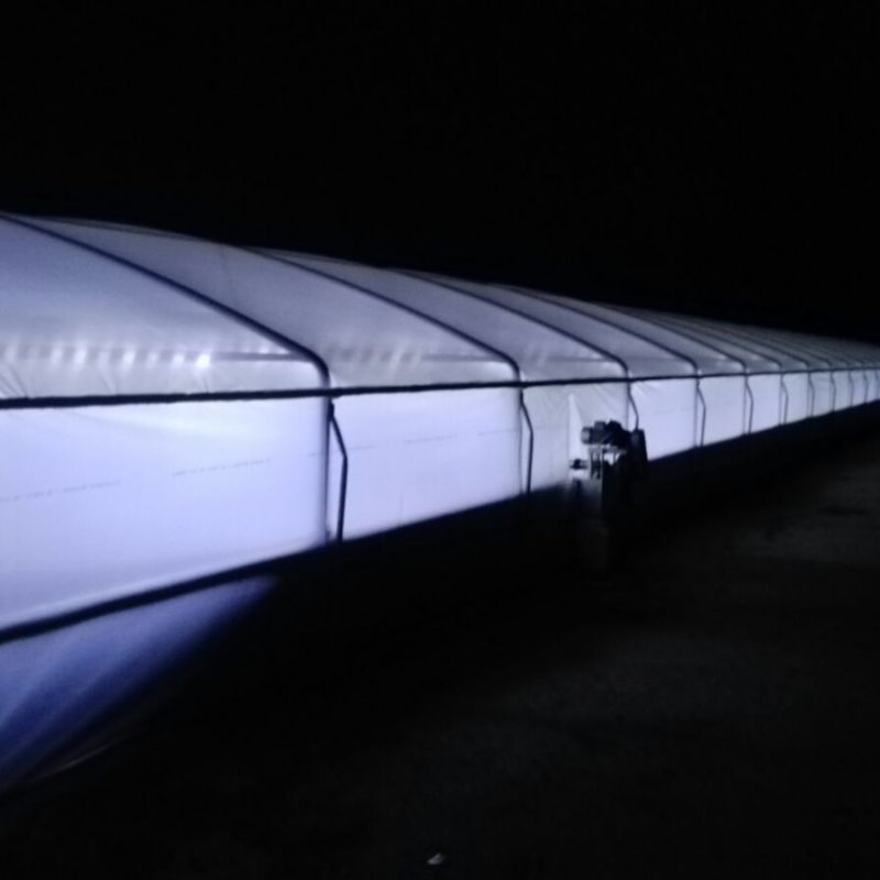 IMG-20180206-WA0032